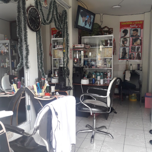 Nelly`s - Arequipa