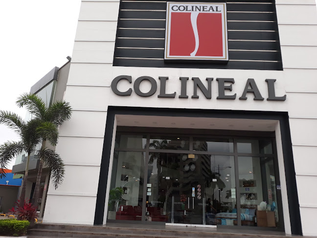 Colineal | Venta de muebles en Francisco de Orellana Guayaquil