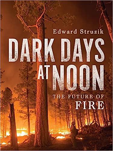 A book cover that says "Dark Days at Noon"