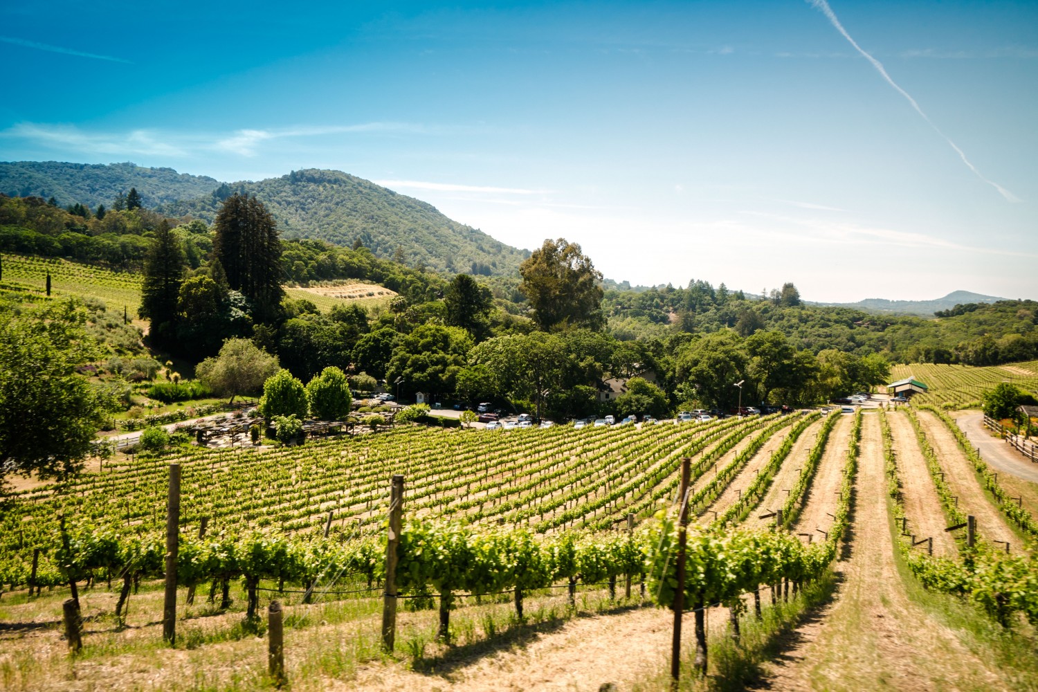 Sonoma, California is the perfect US Road trip stop. Read the full guide