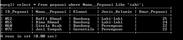 C:\Users\Aras\Documents\Tugas semester 1\Basis data\Tugas besar\7 Like, Order by, Grup By, Asc, Des\Like\Pegawai\Like 9.PNG