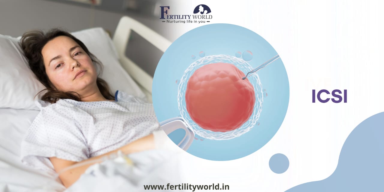 Intracytoplasmic sperm injection (ICSI)