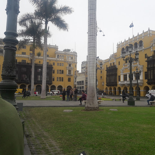 Jirón de la Unión 248, Cercado de Lima 15001, Perú