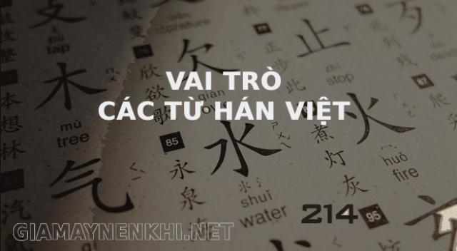 Vai trò của các từ Hán Việt