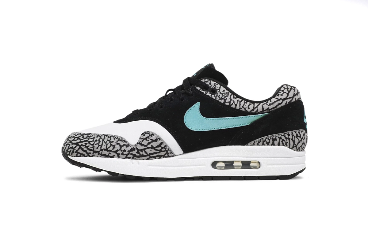 Cocoshoes Air Max 1 Replica Shoes: A Comprehensive Review -