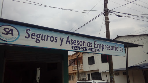 Seguros y Asesorias Empresariales