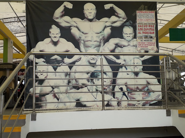 Opiniones de American Force Gym en Lurin - Gimnasio