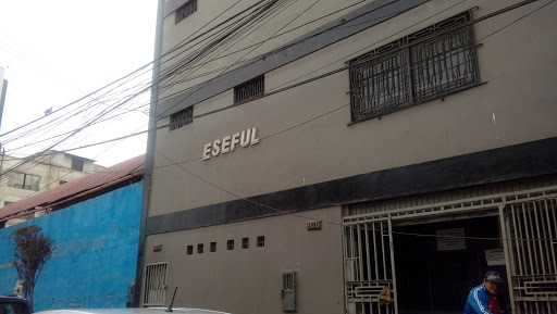 Instituto ESEFUL