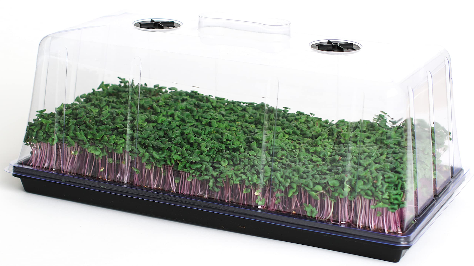 Advantages and Disadvantages of Humidity Domes