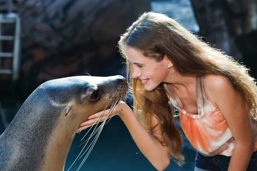 A person kissing a seal

Description automatically generated with medium confidence