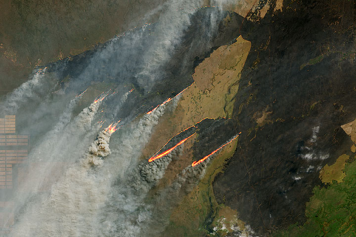 Incendios en el Amazonas