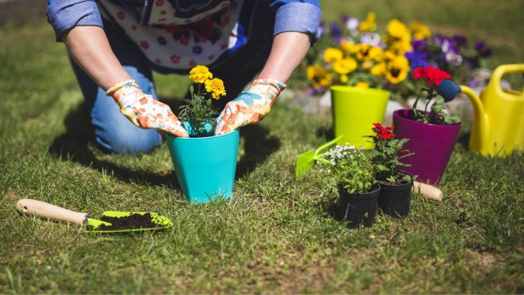 How To Arrange Garden Pots? Step By Step Guides