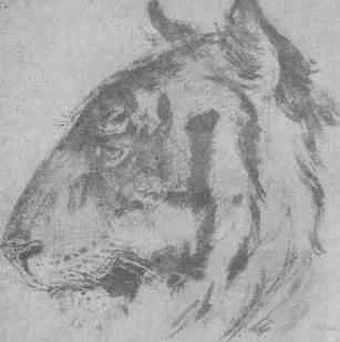 D:\0 wd yedek\acr yedek\1 film indirme\akademicheskiy_risunok2_files\image135.jpg