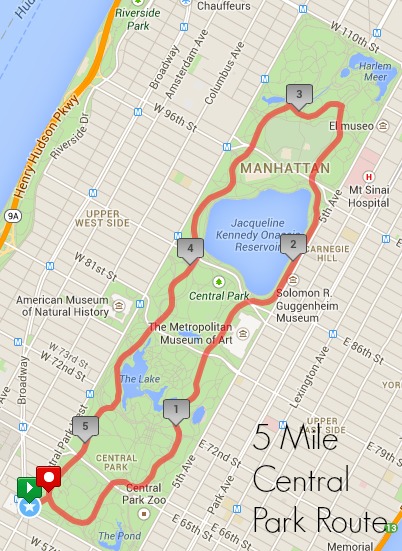 Best Central Park Running Routes