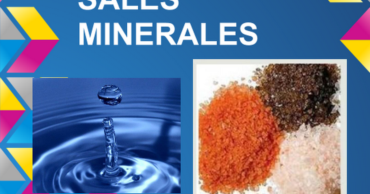 Presentacion del agua y las sales minerales - Google Slides