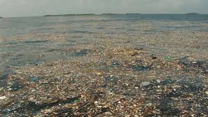 LETTER: An ocean full of plastic | Newcastle Herald | Newcastle, NSW