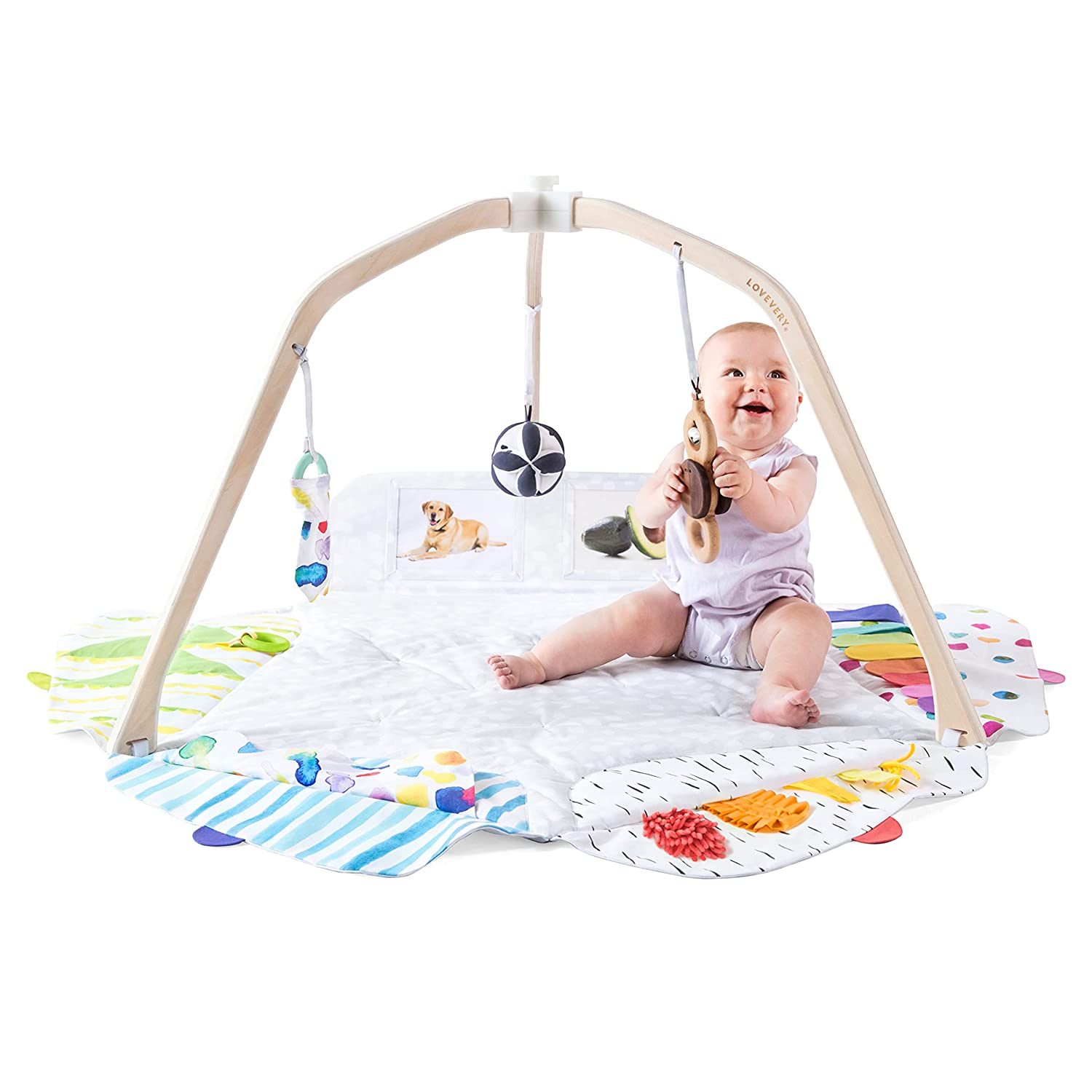The Play Gym for babies 