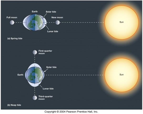 C:\Users\AMAL\AppData\Local\Microsoft\Windows\INetCache\Content.Word\tides-sun-moon-spring-neap-e1451749053733.jpg