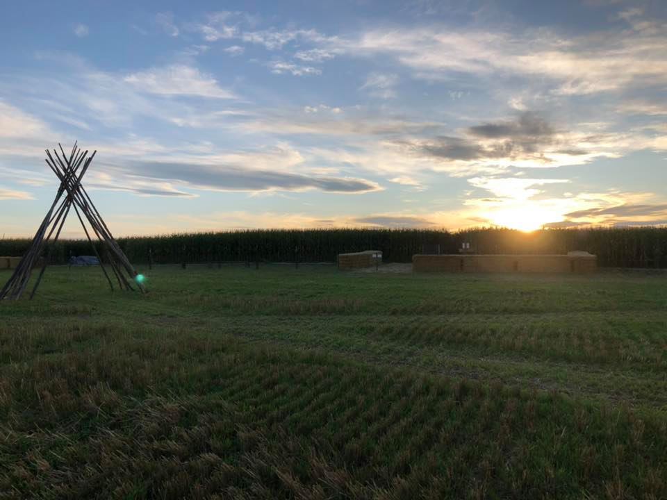 Montana Corn Maze