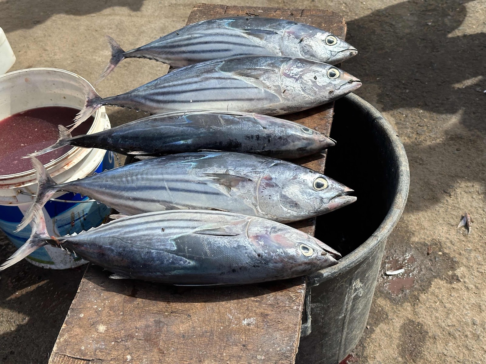 Mindelo, São Vicente, Cabo Verde