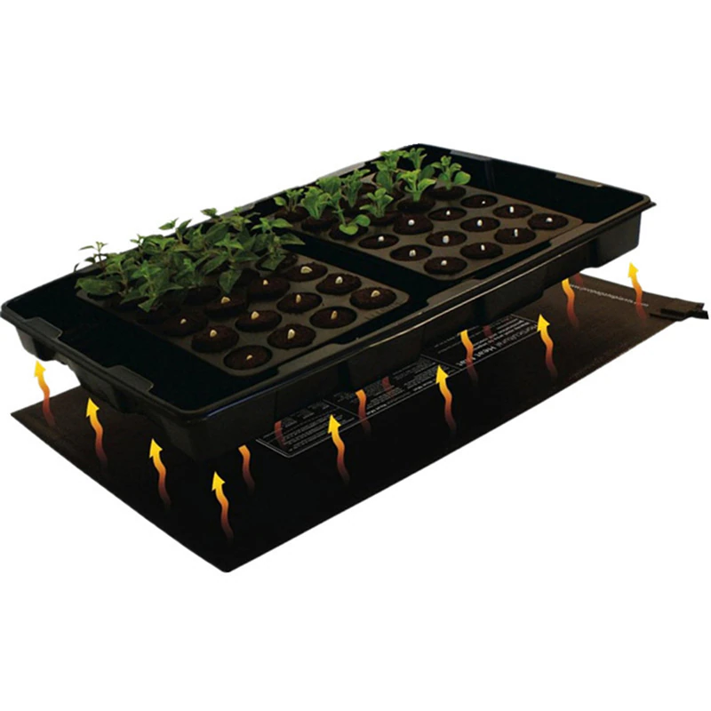 Use a seed heating mat