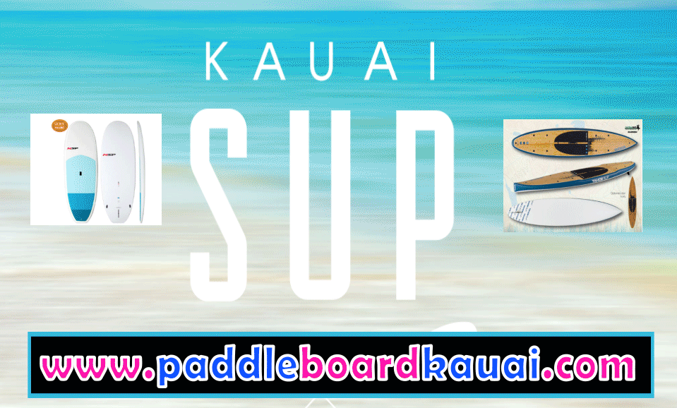 stand up paddle kauai.gif