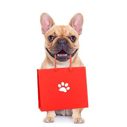When can I Sell My Puppies? - Pups4Sale