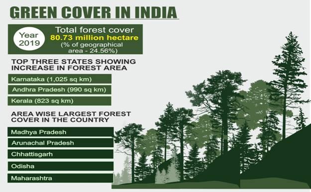  Forest Cover in India