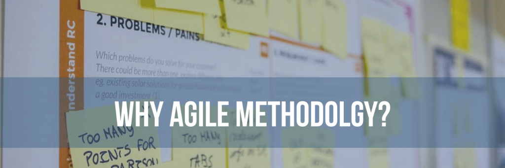 Why Agile Methodolgy?