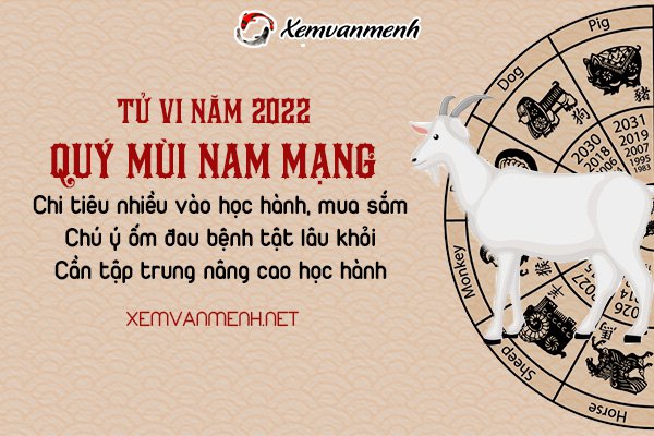 tu-vi-tuoi-quy-mui-nam2022-nam-mang-2003