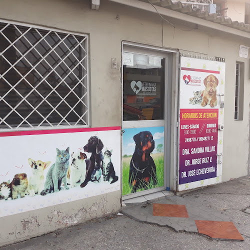 Opiniones de Veterinaria Mascotas en Guayaquil - Veterinario