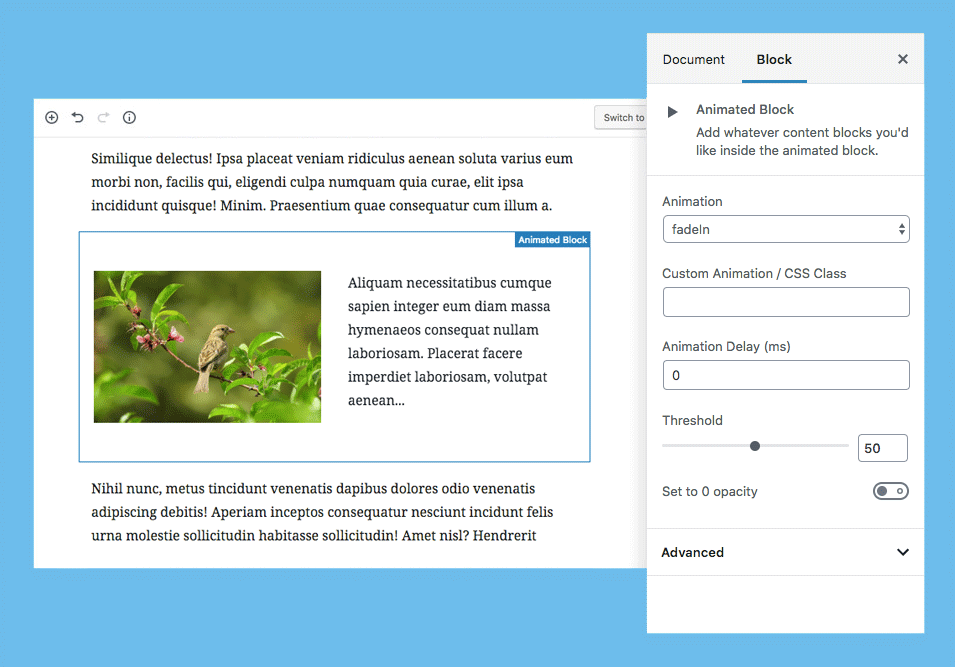 Animated Block WordPress Plugin