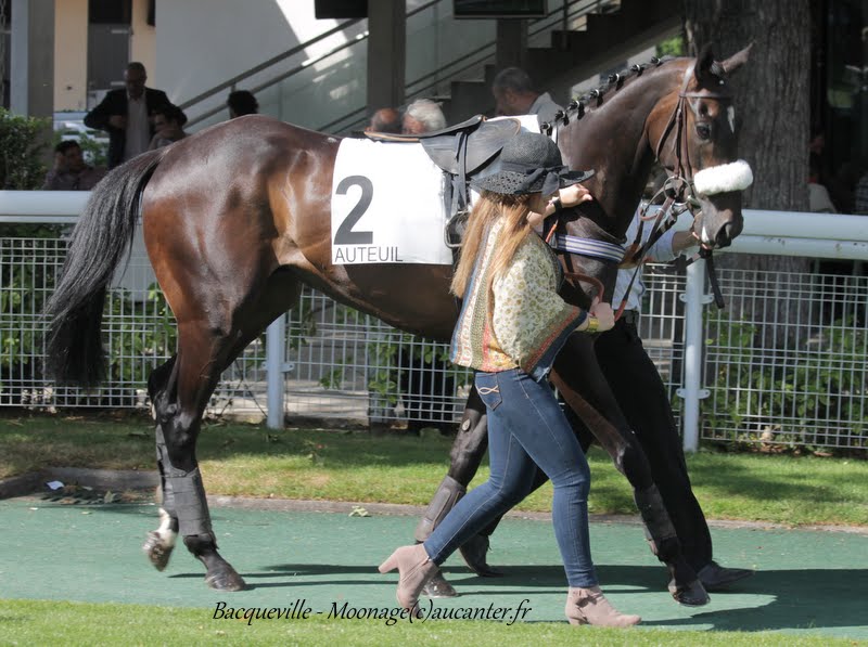 Photos Auteuil 7-06-2015 Journée Grande Course de Haies - Page 3 KIxjAyop0UBf6SB-U8jEC8EESgp4Tk1_XM4CwQ27NXGn=w800-h597-no