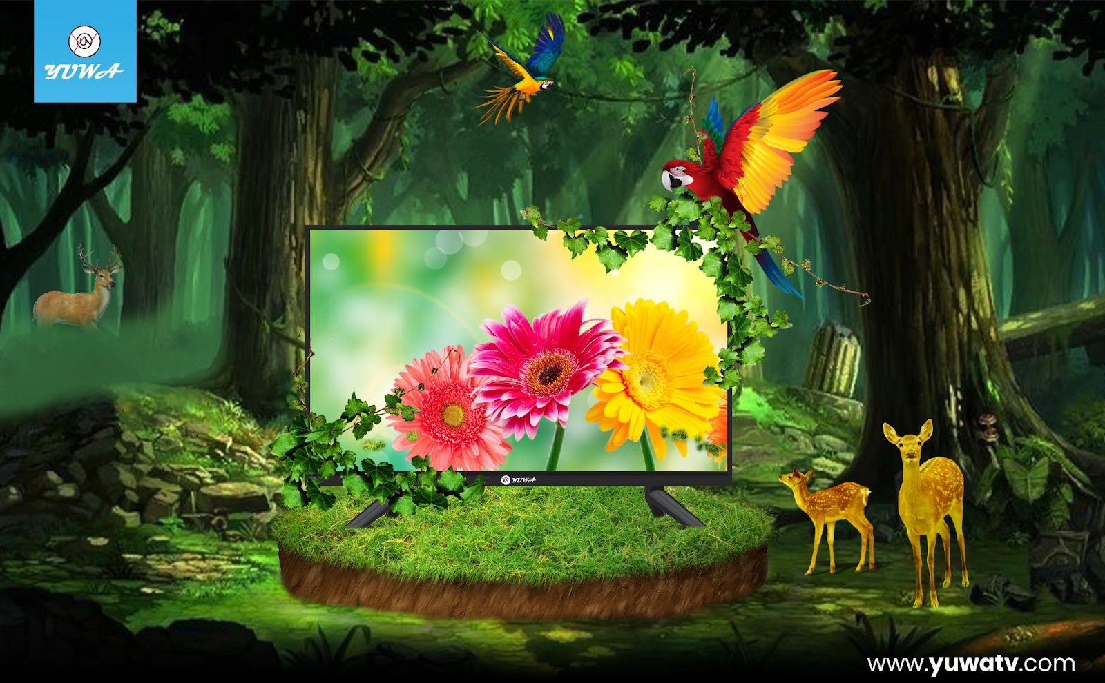 Best Smart LED Tv in India
LED TV Manufacturers
LED Tv Companies in India