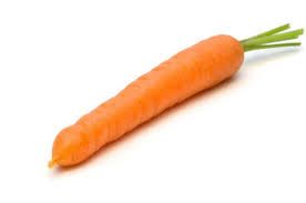 Image result for carrot