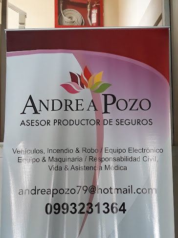 Andrea Pozo - Abogado