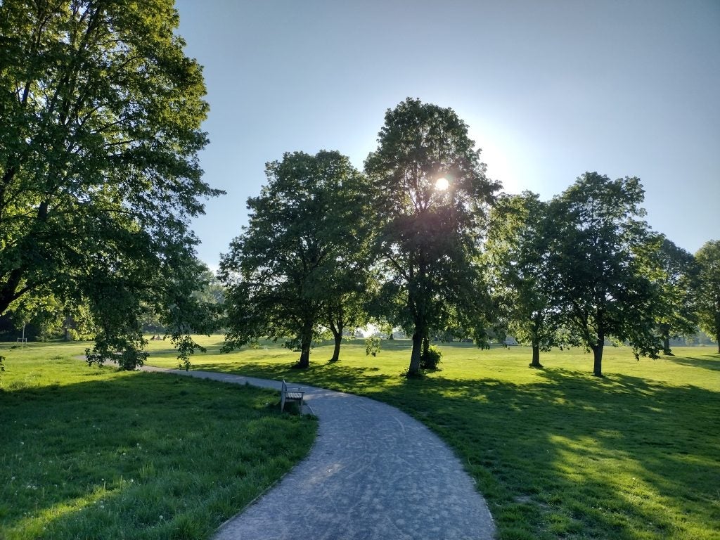 Muestra de fotos de Motorola Moto G50 a la luz del día