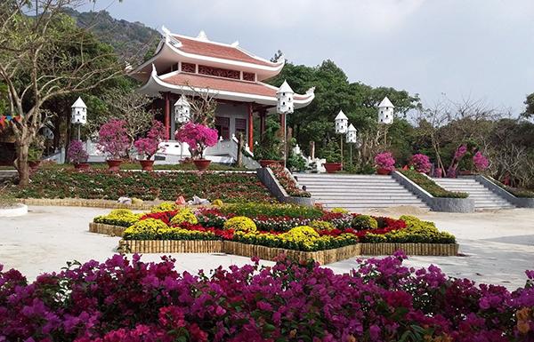 tức dụp