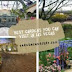 Gardening Tips For a Newbie
