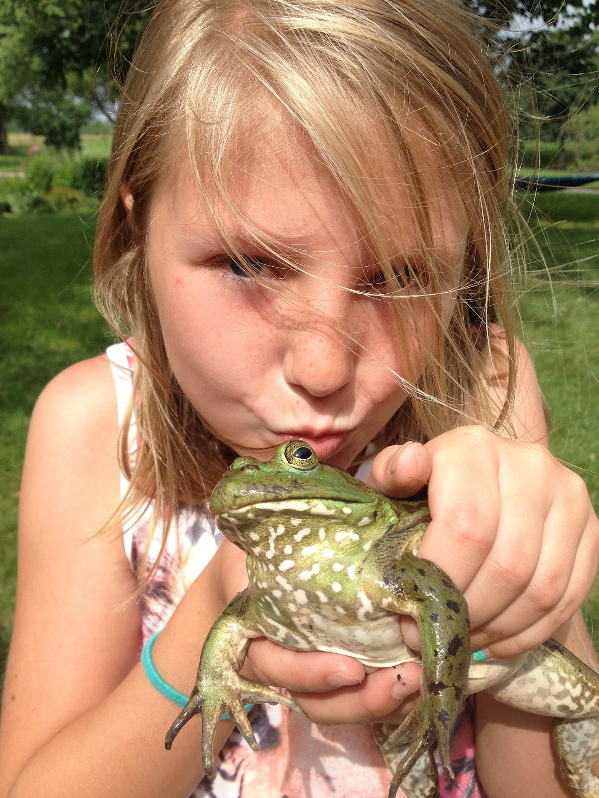 Young girl almost kissing frog