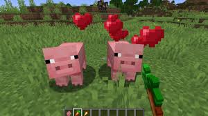 How to breed the pigs in Minecraft?