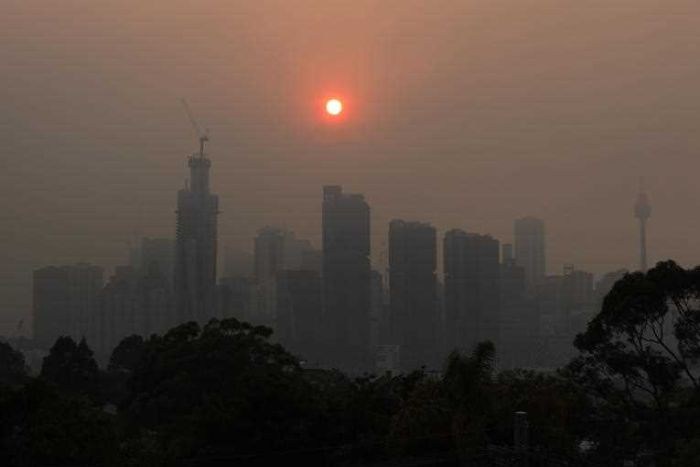 Sydney-se-incendia-australia-sin-agua-incendios-sequía-