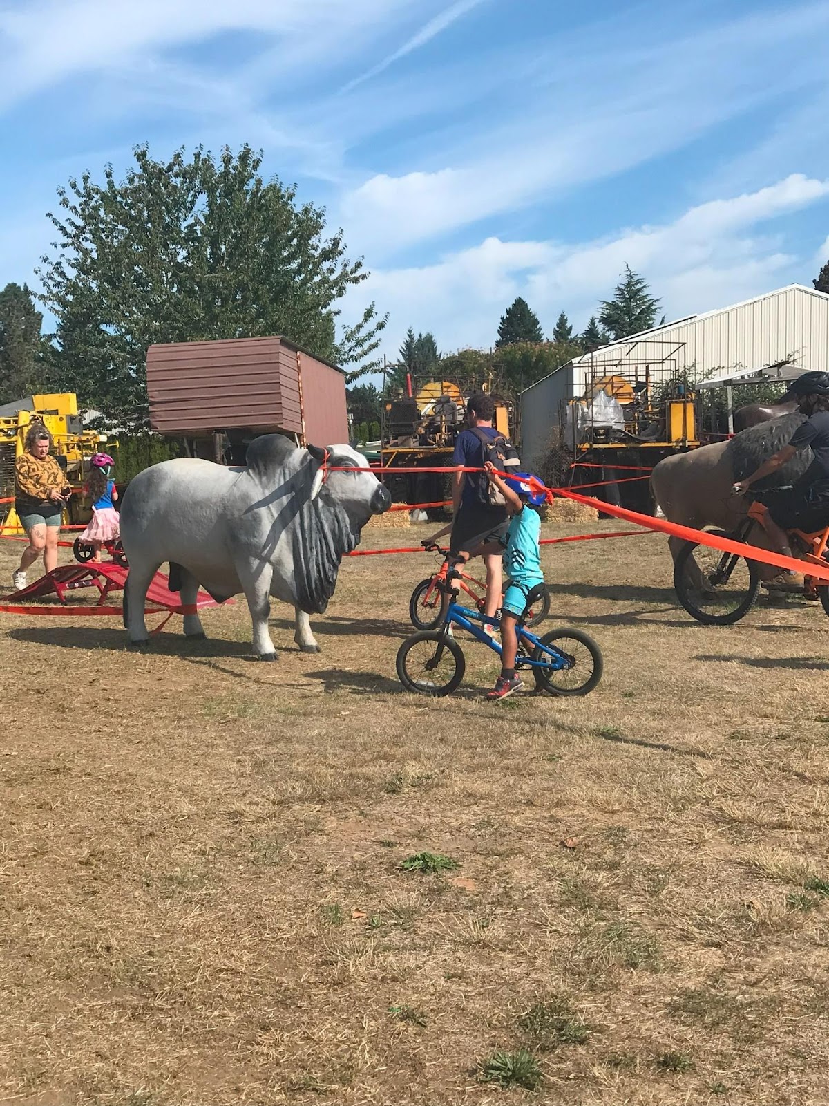 A bull and a child on a bike

Description automatically generated