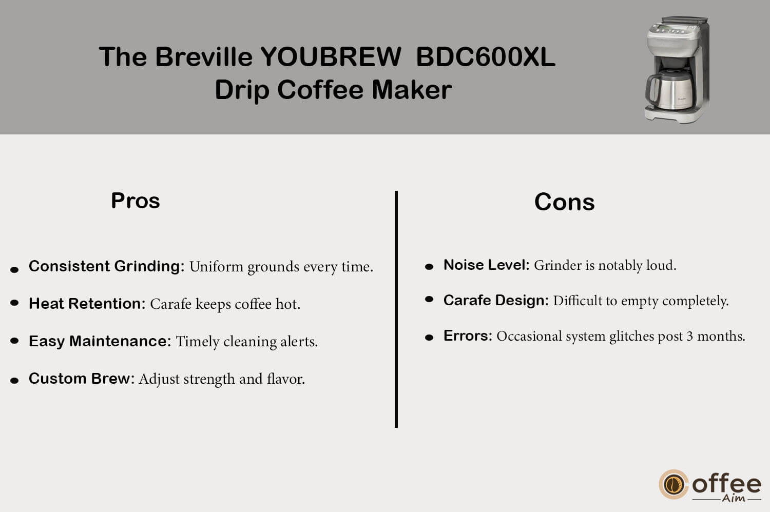 This graphic illustrates the advantages and drawbacks of 
