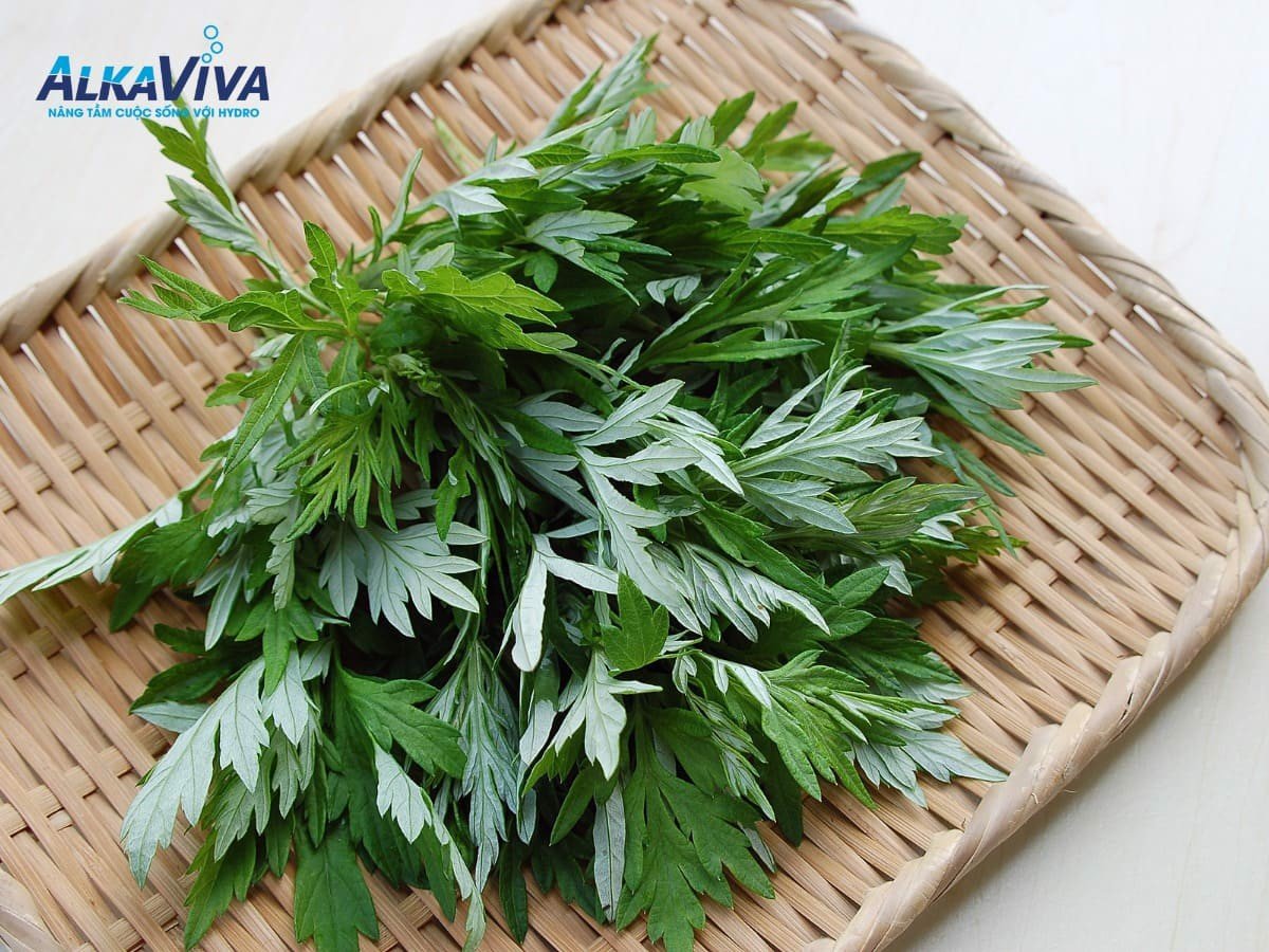 Không nên sử dụng ngải cứu hàng ngày