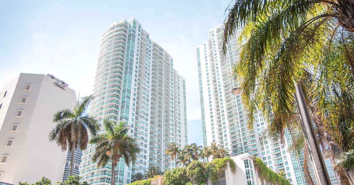 Palm trees in the foreground with Miami towers behind