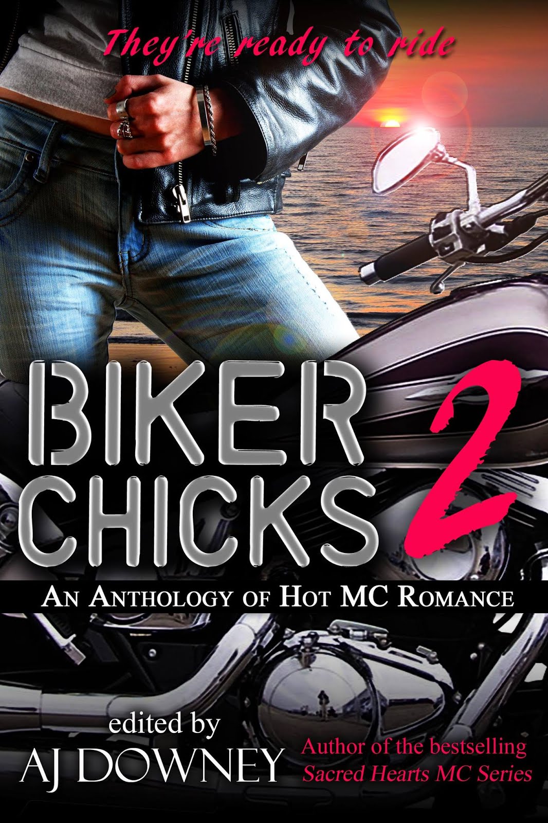 BikerChicks2cover.jpg