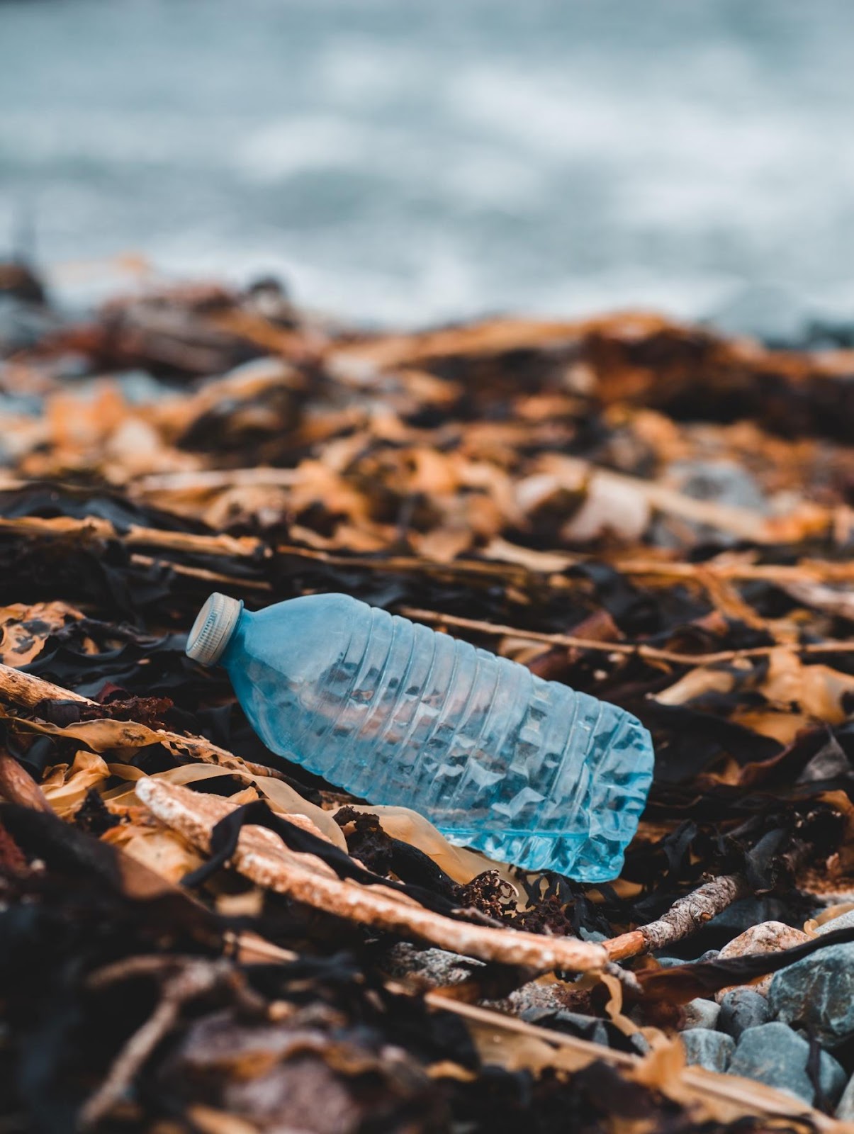 plastic waste at beach.jpg