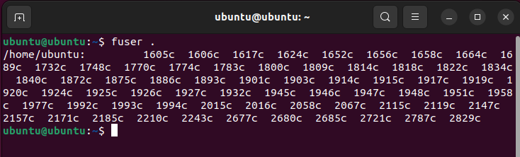 How to Use the fuser Command on Linux 2