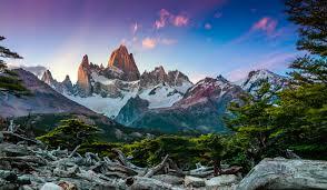 Plan Your Argentina Travels with Us | Forward Travel Consultants